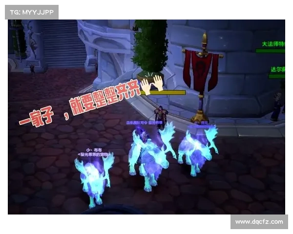 魔兽世界法师捕捉战斗宠物技能视频大揭秘